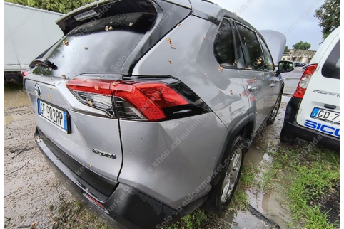 2021 Toyota RAV 4, Benzinas / Elektra